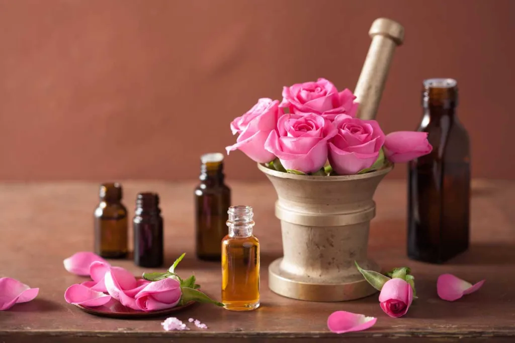 Cách làm nước hoa hồng dưỡng ẩm